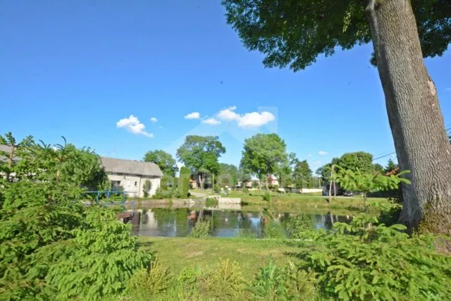 Vesnička Božkovice náves s rybníčkem