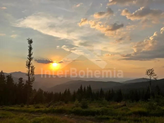 Chalet Bohemian Forest ZC 0001