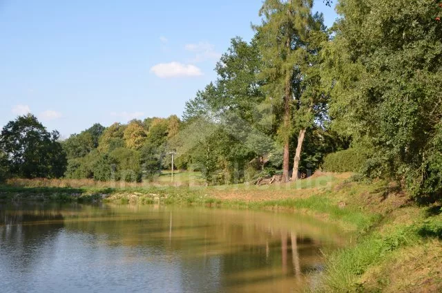 Domek Českomoravská vrchovina JC 0286