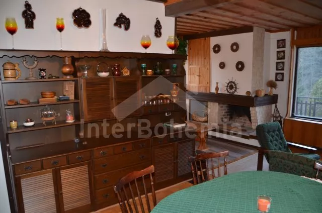 Domek Českomoravská vrchovina JC 0286