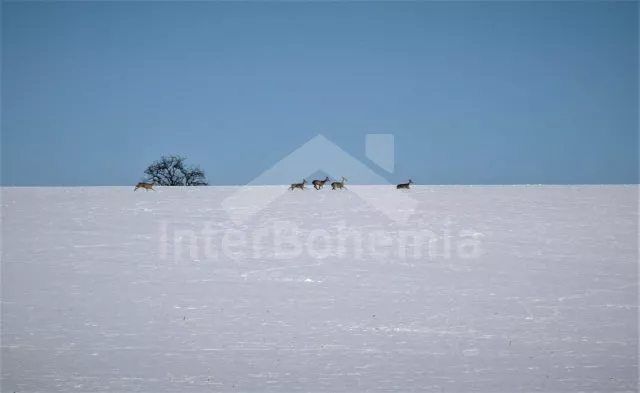 Chata Praha a okolí OP 0054