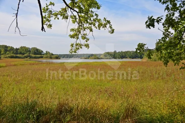 Bungalow Südbömische Teiche JC 0343