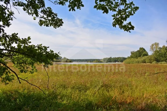 Bungalow Südbömische Teiche JC 0343