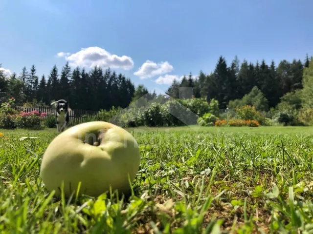 Srub Tábor a okolí JC 0312