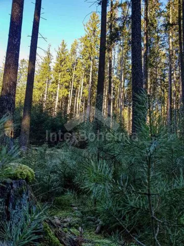 Srub Tábor a okolí JC 0312