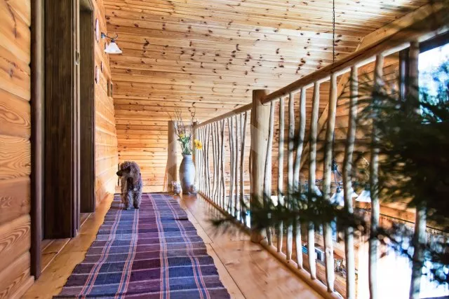 Srub Tábor a okolí JC 0312