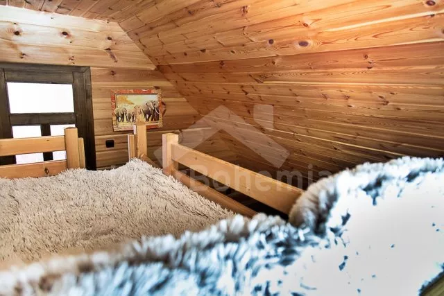 Srub Tábor a okolí JC 0312