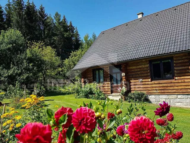 Srub Tábor a okolí JC 0312