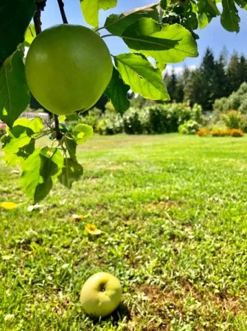 Srub Tábor a okolí JC 0312