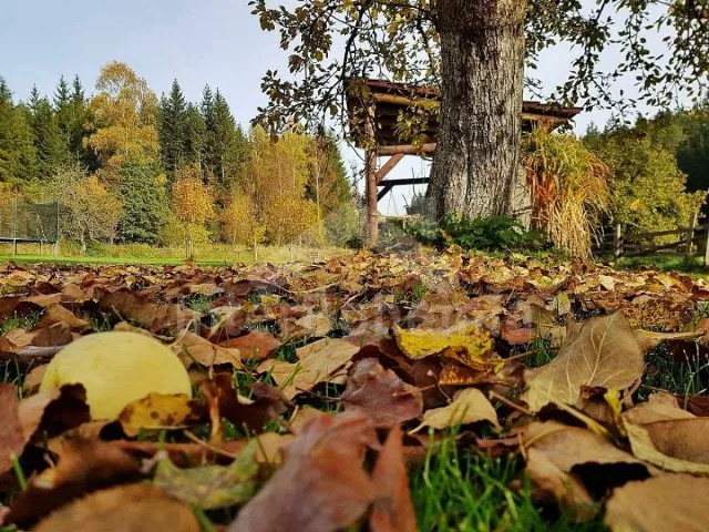Srub Tábor a okolí JC 0312