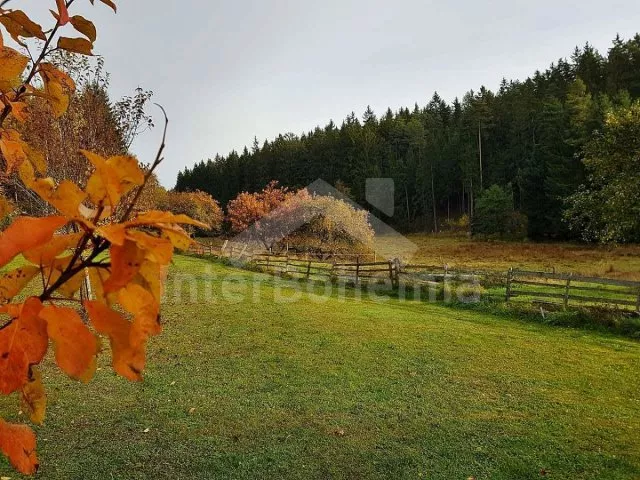 Srub Tábor a okolí JC 0312