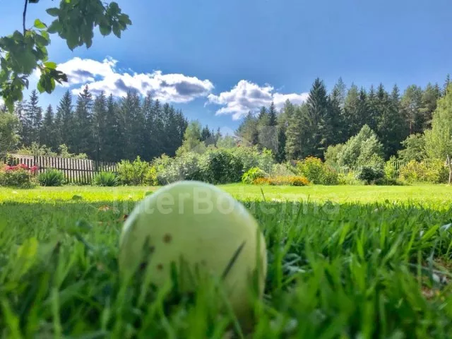 Srub Tábor a okolí JC 0312