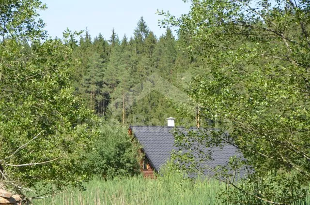 Srub Tábor a okolí JC 0312