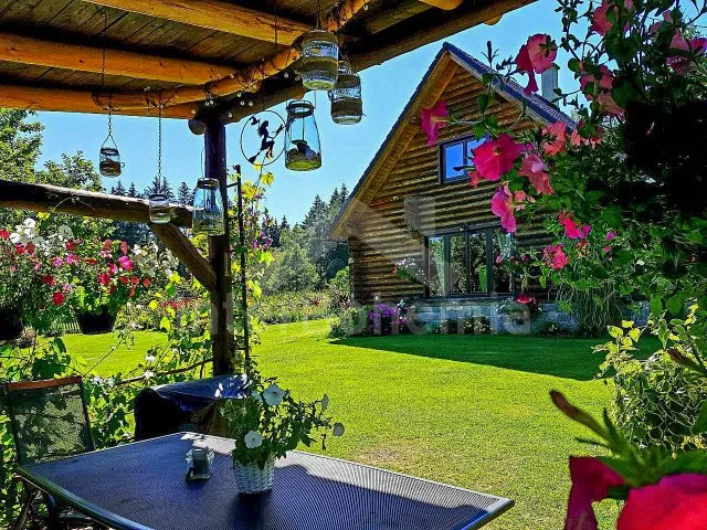 Srub Tábor a okolí JC 0312