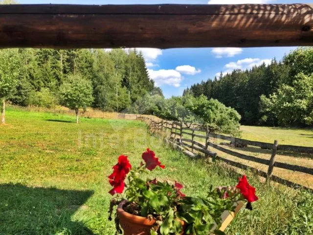 Srub Tábor a okolí JC 0312