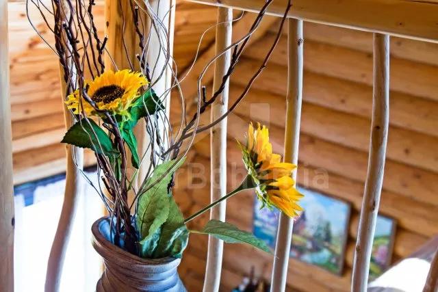 Srub Tábor a okolí JC 0312