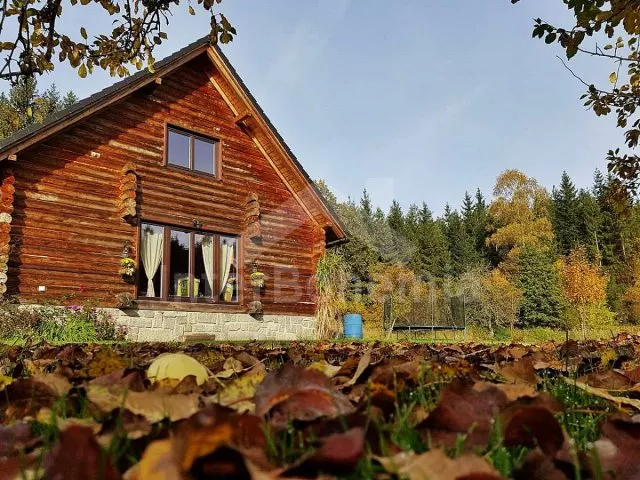 Srub Tábor a okolí JC 0312