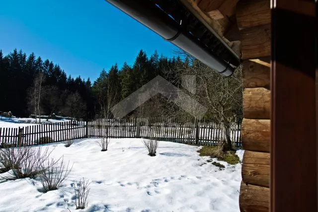 Srub Tábor a okolí JC 0312