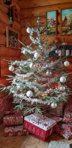 Srub Tábor a okolí JC 0312