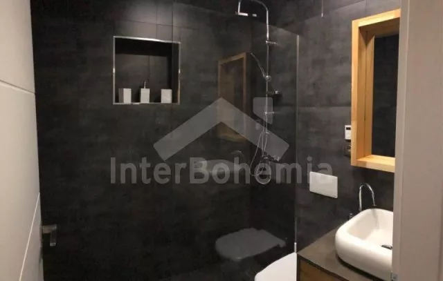 Apartmán Krušné hory KH 0202