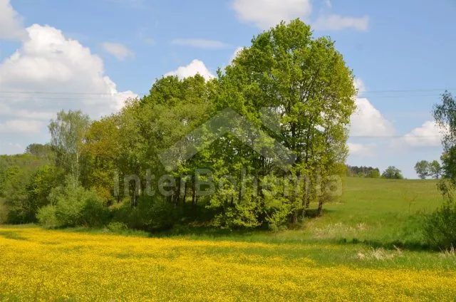 Chalupa Šumava a předhůří JC 0314