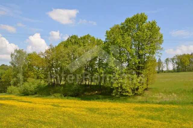 Holiday Home Bohemian Forest JC 0314