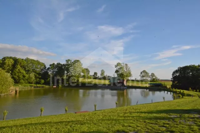 Rybník Hraštice 550 m od chalupy