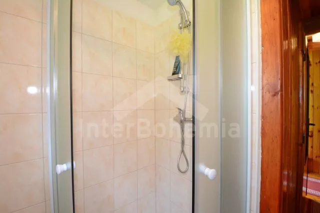 Chalet Bohemian-Moravian highlands JC 0445