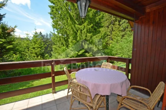 Chalet Bohemian-Moravian highlands JC 0445