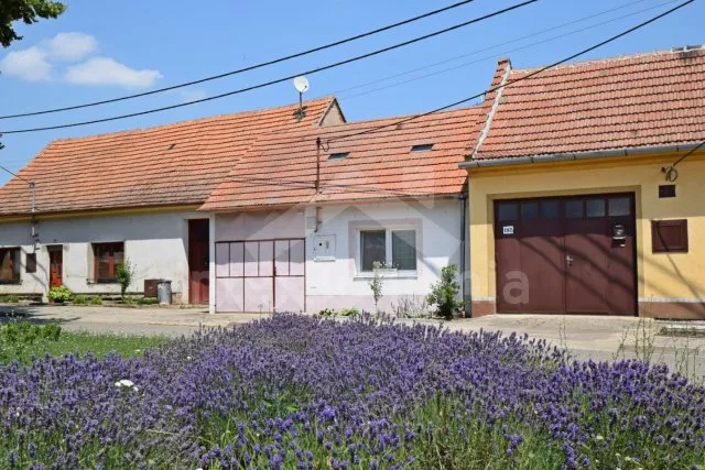 Domek Pálava - Bulhary JM 0025