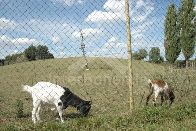 Chata Praha a okolí OP 0362