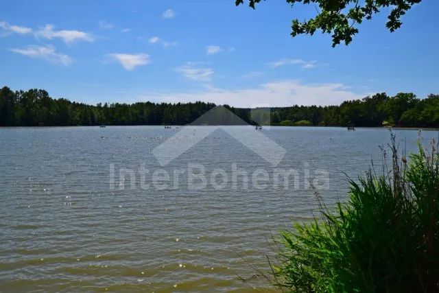 Chalet Nové Hrady and Surroundings - Petrikov JC 0407