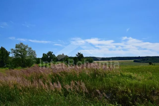 Chalet Nové Hrady and Surroundings - Petrikov JC 0407