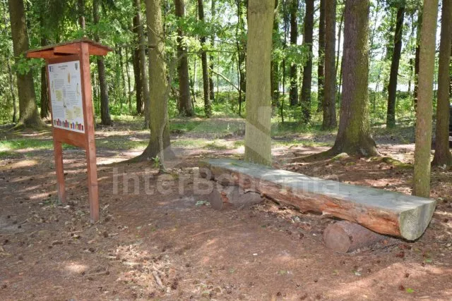 Chalet Nové Hrady and Surroundings - Petrikov JC 0407