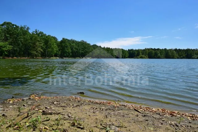 Chalet Nové Hrady and Surroundings - Petrikov JC 0407