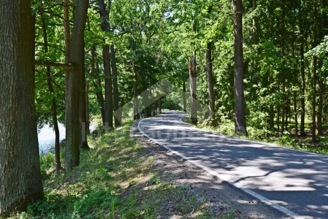 Chalet Nové Hrady and Surroundings - Petrikov JC 0407