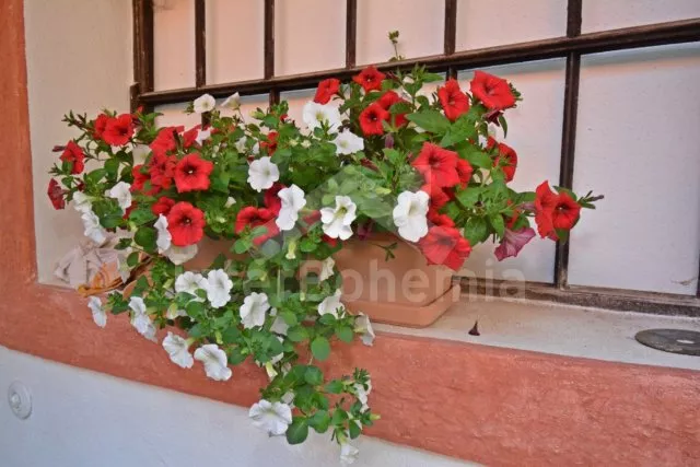 Apartmán Českomoravská vrchovina JC 0333 D