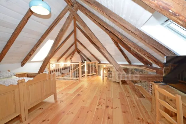 Apartmán Českomoravská vrchovina JC 0333 D