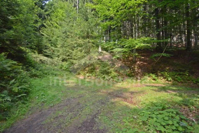 Parkování pro 2 automobily 100 m od chalupy