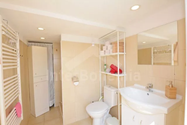 Chata Písek a okolí JC 0338