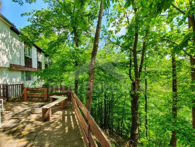 Chata Vranovská Přehrada JM 0030