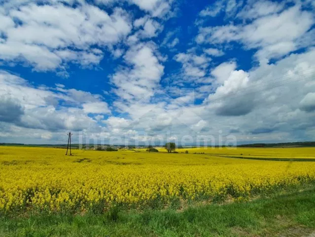 Chata Vranovská Přehrada JM 0030
