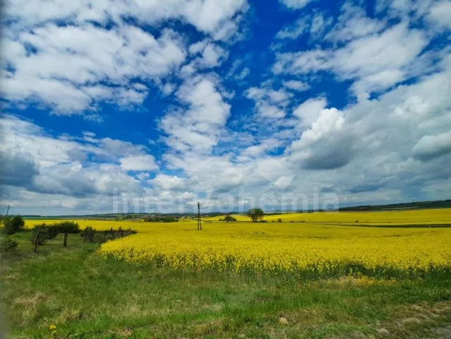 Chata Vranovská Přehrada JM 0030