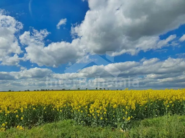 Chata Vranovská Přehrada JM 0030