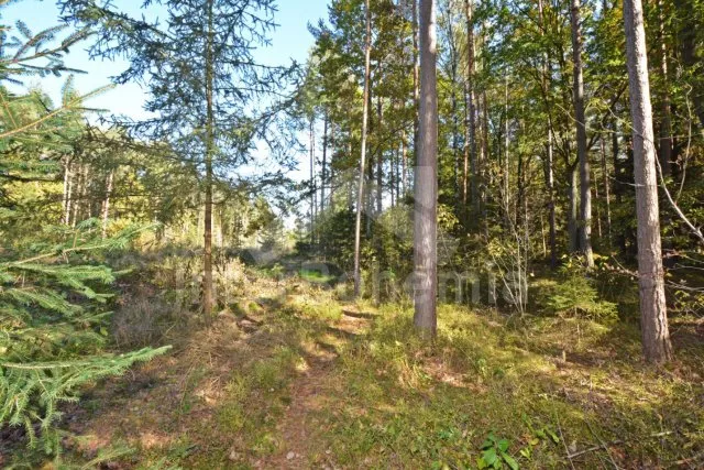 Chata Jihočeské rybníky JC 0340