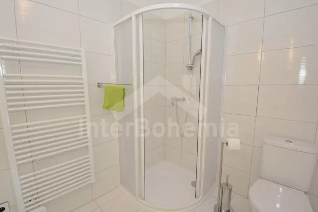 Vila Třeboňsko JC 0339