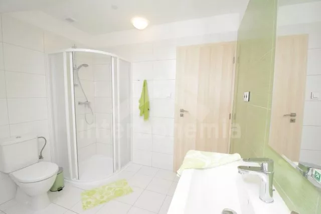 Vila Třeboňsko JC 0339