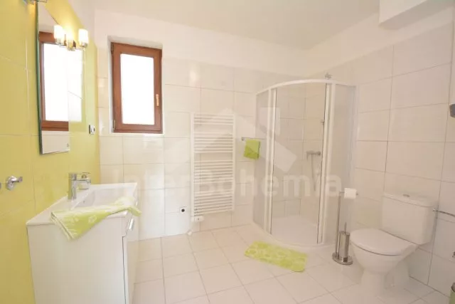 Vila Třeboňsko JC 0339