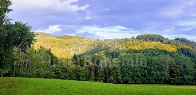 Chalupa Krkonoše a předhůří - Křížlice (Benecko) KK 0136