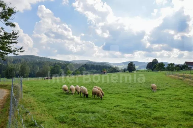 Domek Šumava a předhůří - Stachy JC 0315